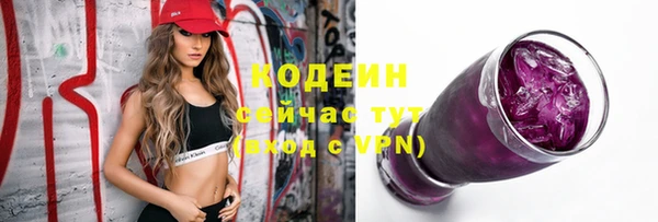 дмт Краснослободск