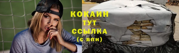 дмт Краснослободск