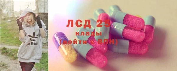 дмт Краснослободск