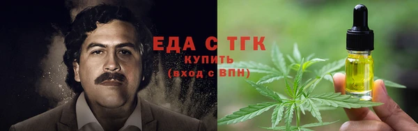 дмт Краснослободск