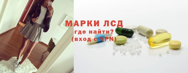 дмт Краснослободск