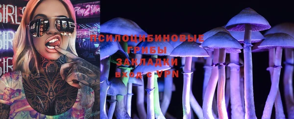 дмт Краснослободск