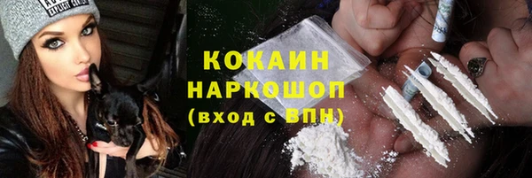 дмт Краснослободск