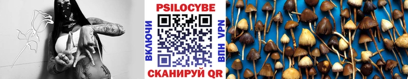 Псилоцибиновые грибы ЛСД Данилов