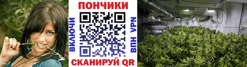 Конопля ГИДРОПОН  сколько стоит  Данилов 